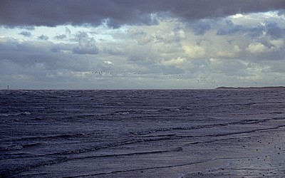 Crosby Beach: Vogelschwarm über der Irischen See - Crosby