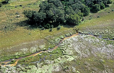 Flug Kwara - Maun: Blick auf das Delta - Okavango-Delta