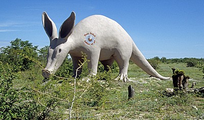 Beton-Ameisenbär: Hinweis für Planet Baobab - Gweta