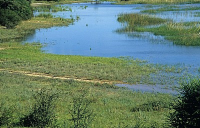 Okavango als Grenzfluß zwischen Nambia und Angola - Kavango