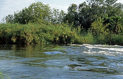 Popa Game Park: Popa Falls (Popafälle) - Stromschnellen - Kavango