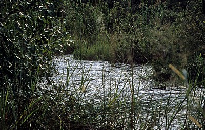 Popa Game Park: Popa Falls (Popafälle) - Stromschnellen - Kavango