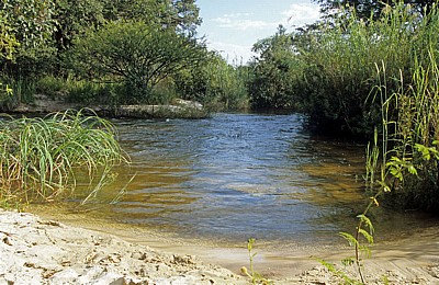 Popa Game Park: Okavango - Kavango