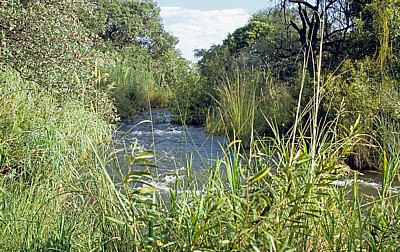 Popa Game Park: Popa Falls (Popafälle) - Stromschnellen - Kavango