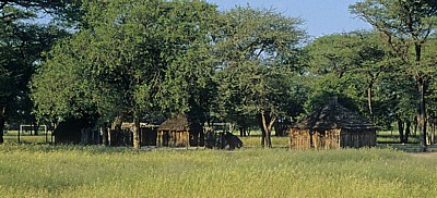 Ombili: San-Dorf - Oshikoto