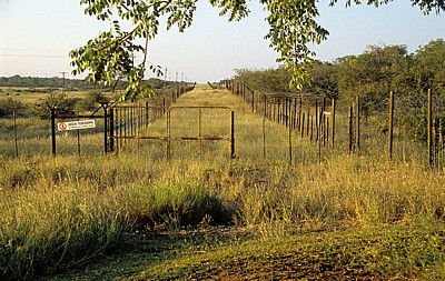 Grenzsstreifen zwischen Weideland (links) und dem Etosha National Park (rechts)  - Oshikoto