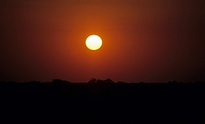 Moringa-Wasserloch: Sonnenuntergang - Etosha Nationalpark