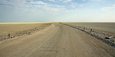 Etoshapfanne - Etosha Nationalpark