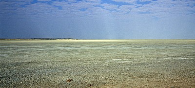 Etoshapfanne - Etosha Nationalpark