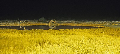 Beleuchtetes Okaukuejo-Wasserloch - Etosha Nationalpark