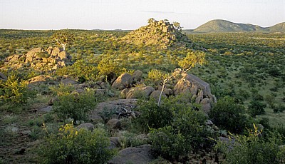 Landschaft - Kaokoveld