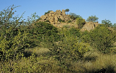 Landschaft mit Felsformation - Kaokoveld