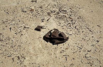 Welwitschia-Drive: Überreste eines alten Militärlagers südafrikanischer Truppen (1915) - Namib
