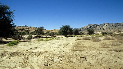 Welwitschia-Drive: Swakop Rivier - Namib