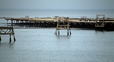 Atlantischer Ozean: Bird Island (Guano-Plattform) - u.a. Rosapelikane (Pelecanus onocrotalus) - Namib