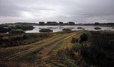 Rutland Water Nature Reserve: Lagune I - Egleton