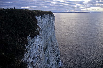 Bempton Cliffs - Bempton