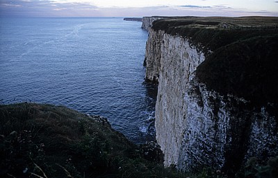 Bempton Cliffs - Bempton