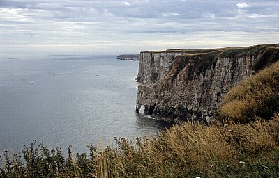 Bempton Cliffs - Bempton