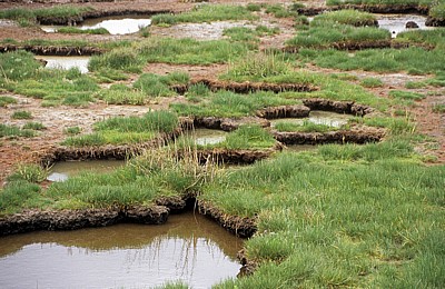 Cley Marshes - Cley next the Sea