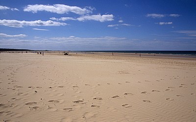Holkham Beach (Strand) - Wells-next-the-Sea