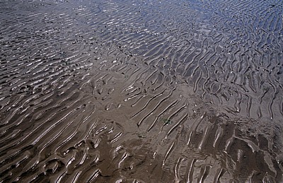 Holkham Beach (Strand): Strukturen im Sand - Wells-next-the-Sea