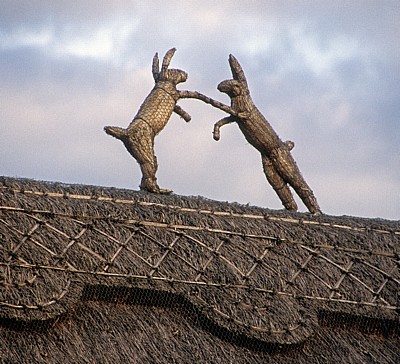 The Street: Hasen aus Reet auf einem Reetdach - Stoke-by-Clare