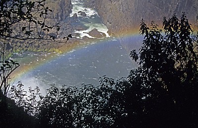Blick auf den Regenbogen am Fuße des Devil's Cataracts - Victoriafälle