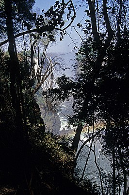 Blick durch die Bäume auf Cataract Island und Main Falls - Victoriafälle