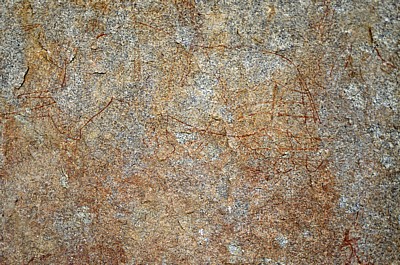 White Rhino Shelter: Felsmalereien (Bushmen paintings) - Matopos National Park