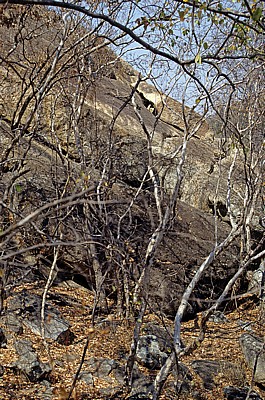 Felsformation: Zwiebelschalenverwitterung - Matopos National Park