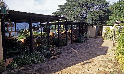 Bvumba Mountains (Bergregion): Kleines Café - Manicaland Province