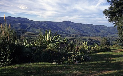 Bvumba Mountains (Bergregion) - Manicaland Province