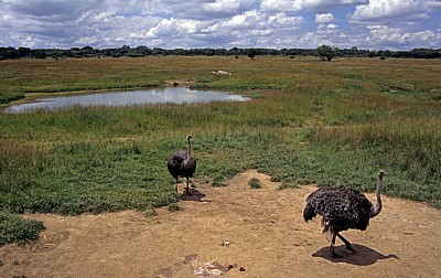 Mukuvisi Woodlands - Harare