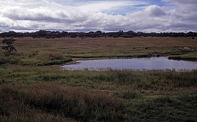 Mukuvisi Woodlands - Harare