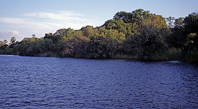 Zambezi - Victoria Falls National Park