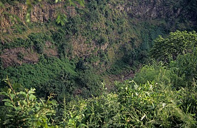 Knife Edge: Blick auf die Vegetation in der Schlucht - Victoriafälle (Zambia)