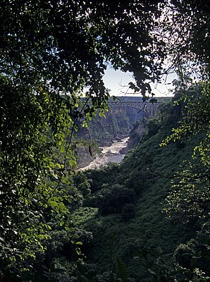 Blick auf die Victoria Falls Bridge (Brücke) über dem Zambezi - Victoriafälle (Zambia)