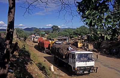 Great East Road: Beliebter Haltepunkt für Lkws und Busse - Luangwa-Bridge