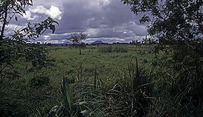 Fahrt Kamuzu Dam - Lilongewe: Landschaft - Central Region