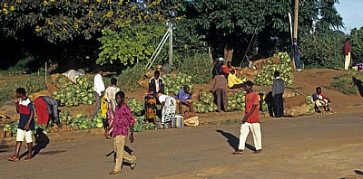 Informeller Sektor: Gemüsestände (Kohl, Zwiebeln) am Straßenrand - Provinz Tete