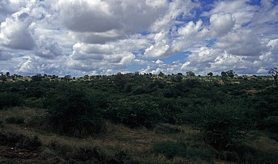 Busfahrt Blantyre - Harare: Tete-Korridor - Typische Landschaft - Provinz Tete