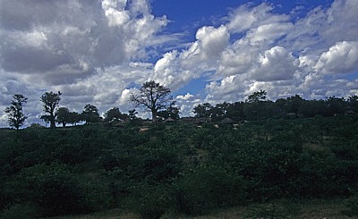 Busfahrt Blantyre - Harare: Tete-Korridor - Kleines Dorf in typischer Landschaft - Provinz Tete