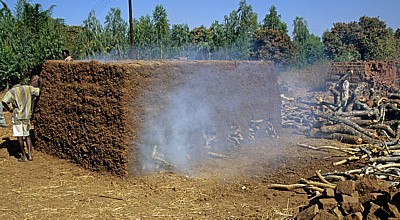 T 305: Ziegelbrennerei - Northern Region