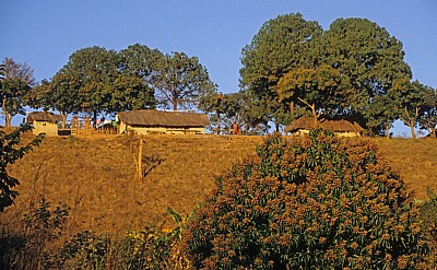 Longmuir Road (Gorode-Road): Gehöft zwischen Chiwerewere und Livingstonia im Abendlicht - Northern Region