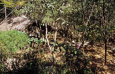 Lukwe EcoCamp: Self-catering kitchen (Selbstversorgerküche) - Livingstonia