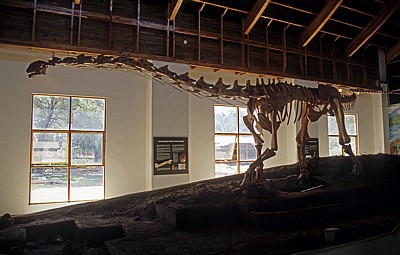 Cultural & Museum Centre Karonga (CMCK): Malawisaurus - Karonga