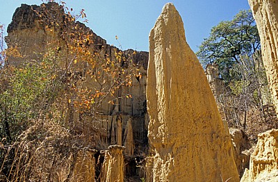 Isimilia Stone Age Site (Steinzeitausgrabungsstätte): Erdpyramiden - Isimilia