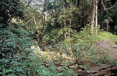 Sanje Falls (Wasserfälle) inmitten der Vegetation - Udzungwa Mountains National Park