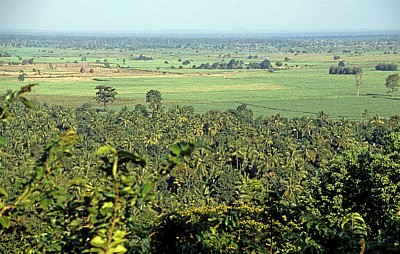 Blick über den Wald auf Palmen und Felder - Udzungwa Mountains National Park